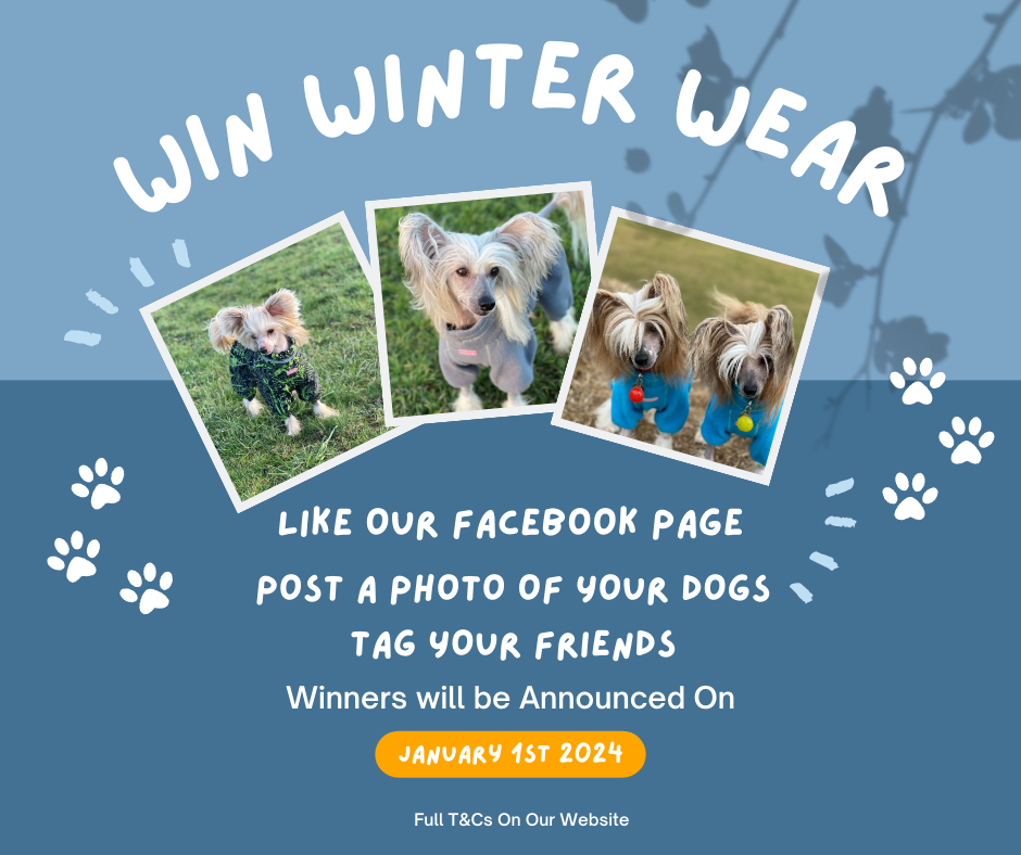 WIN WINTER WEAR