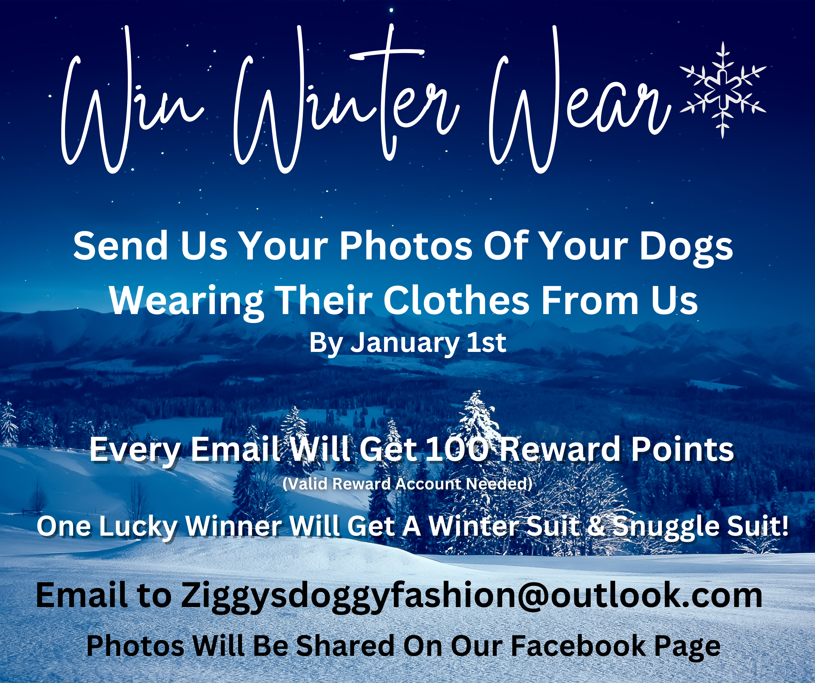 Win Winter Wear T&Cs