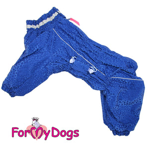 Electric Blue Winter Suit For Boys For Medium, Large Breeds, Pugs & Westies SPECIAL ORDER