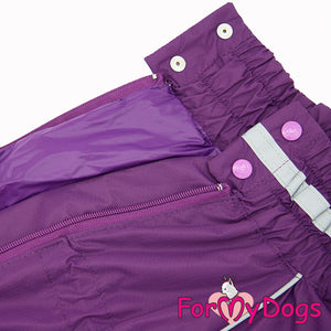 Perfect Purple Rainsuit For Girls For Medium, Large Breeds & Pugs SPECIAL ORDER