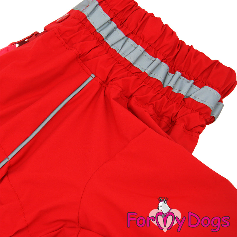 Ready To Race Rainsuit For Girls For Medium, Large Breeds, Pugs & Westies SPECIAL ORDER