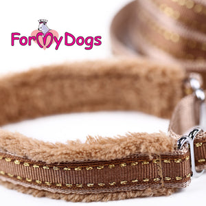 Versatile Collar and Lead Set In Brown