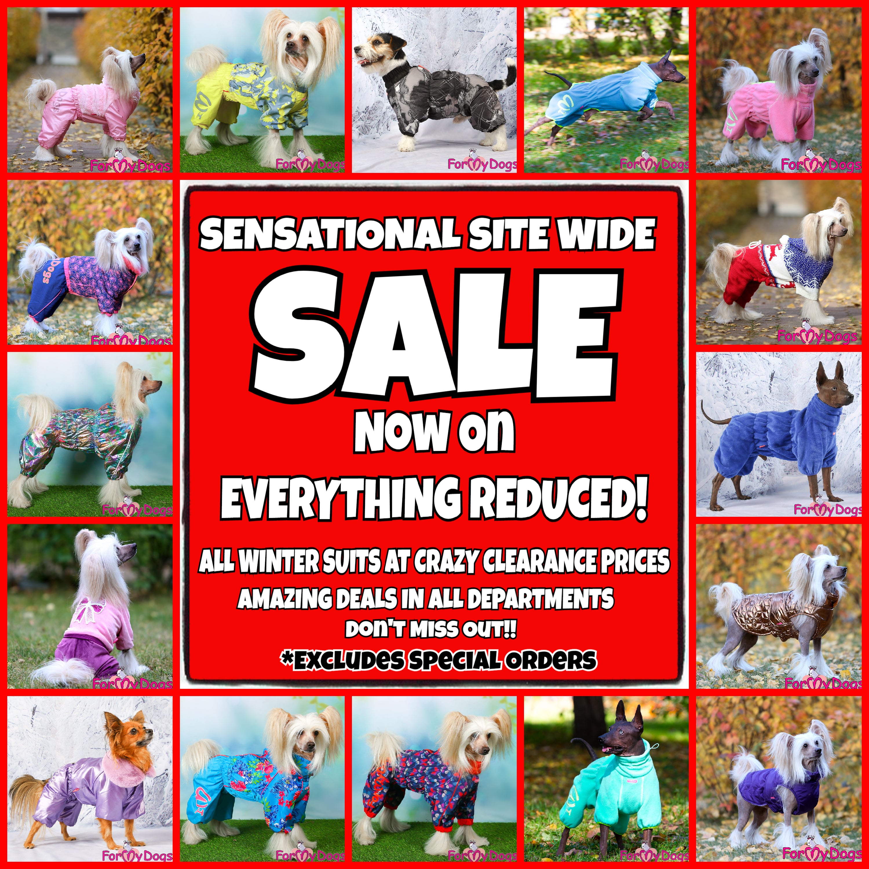 SENSATIONAL SITE WIDE SALE