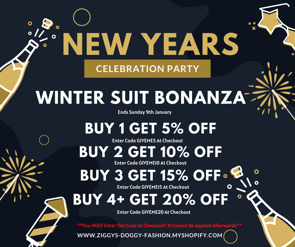 NEW YEARS PROMOTION T&Cs