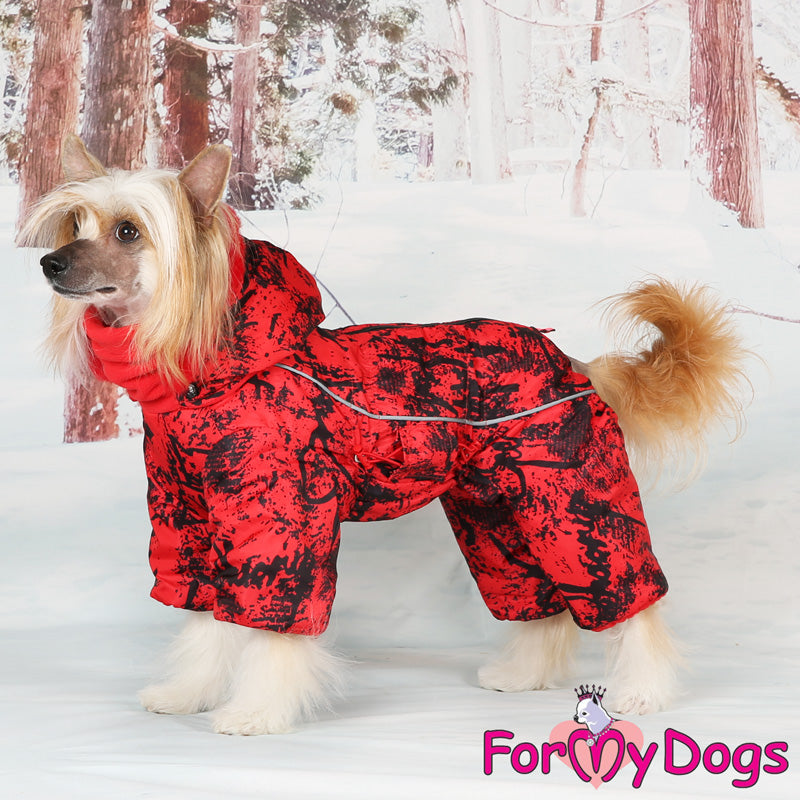 Chinese Charm Winter Suit For Girls SPECIAL ORDER