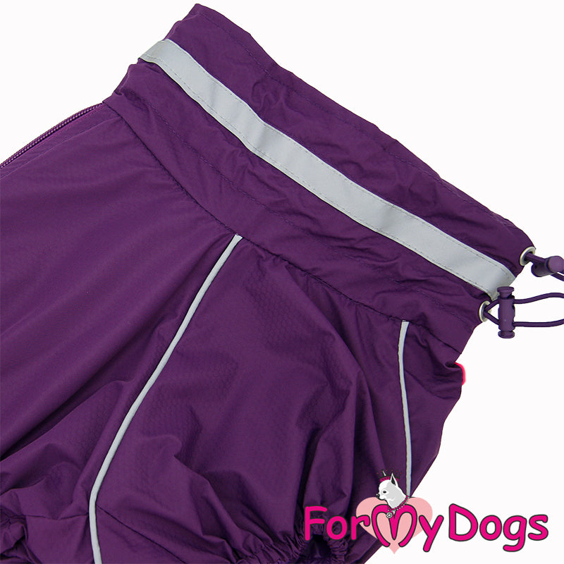 Corgi Perfect Purple Rain Suit For Girls SPECIAL ORDER