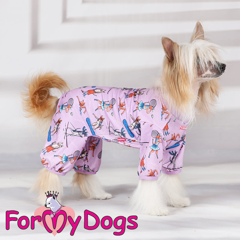American Hairless Terrier Pyjamas