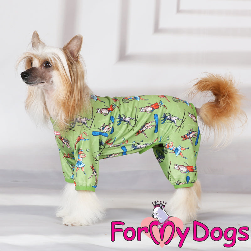 American Hairless Terrier Pyjamas