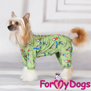 American Hairless Terrier Pyjamas