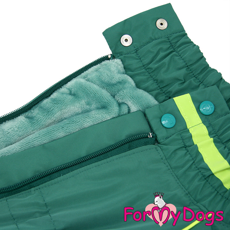 Green Lantern Winter Suit For Boys For Medium, Large Breeds & Pugs SPECIAL ORDER