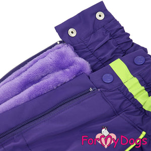 Night Wish Winter Suit For Girls For Medium, Large Breeds & Pugs SPECIAL ORDER