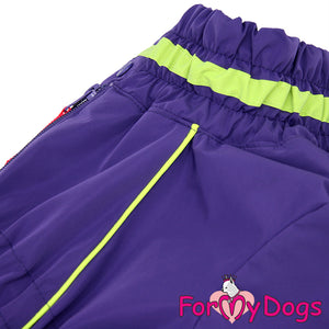 Night Wish Winter Suit For Girls For Medium, Large Breeds & Pugs SPECIAL ORDER