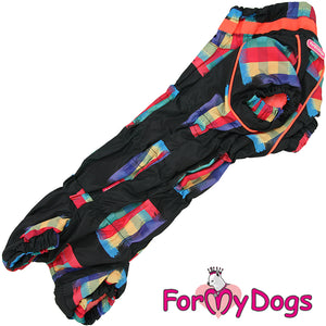 Dachshund Colour Block Winter Suit For Girls SPECIAL ORDER