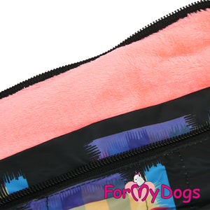 Dachshund Colour Block Winter Suit For Girls SPECIAL ORDER