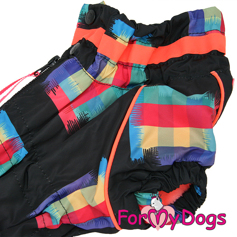 Dachshund Colour Block Winter Suit For Girls SPECIAL ORDER
