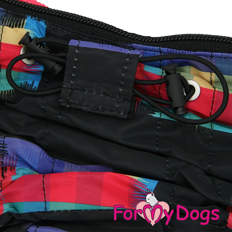 Dachshund Colour Block Winter Suit For Girls SPECIAL ORDER