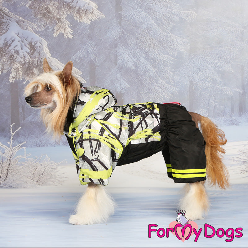 Fast Flash Winter Suit For Boys SPECIAL ORDER