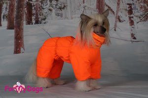 Beacon Bright Winter Suit For Girls SPECIAL ORDER