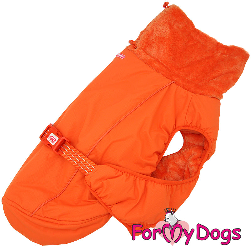 Beacon Bright Jacket For Medium & Large Breeds SPECIAL ORDER