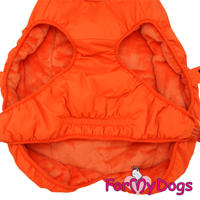 Beacon Bright Jacket For Medium & Large Breeds SPECIAL ORDER