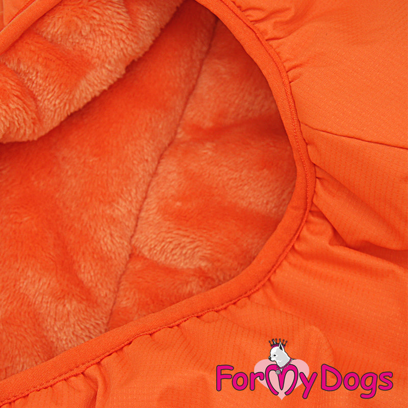 Beacon Bright Jacket For Medium & Large Breeds SPECIAL ORDER