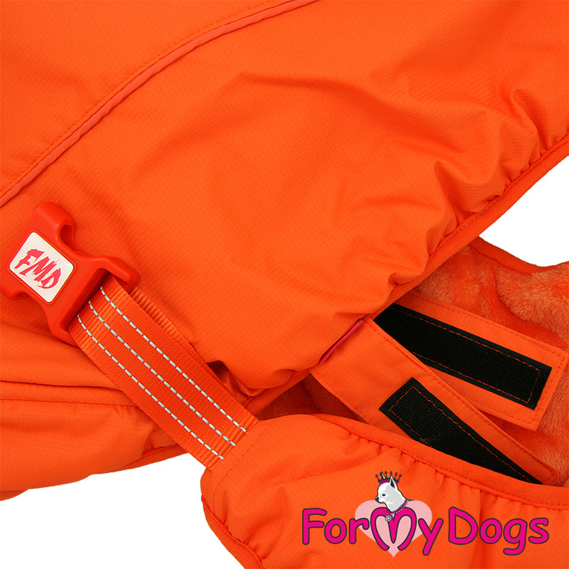 Beacon Bright Jacket For Medium & Large Breeds SPECIAL ORDER
