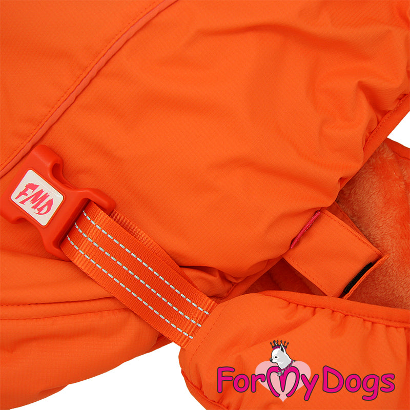 Beacon Bright Jacket For Medium & Large Breeds SPECIAL ORDER