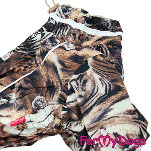 Tiger Tails Winter Suit For Boys SPECIAL ORDER
