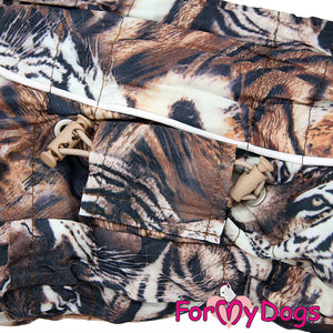Tiger Tails Winter Suit For Boys SPECIAL ORDER