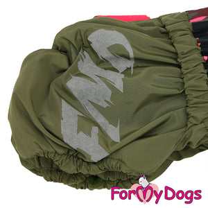 Corgi In Style Winter Suit For Girls SPECIAL ORDER