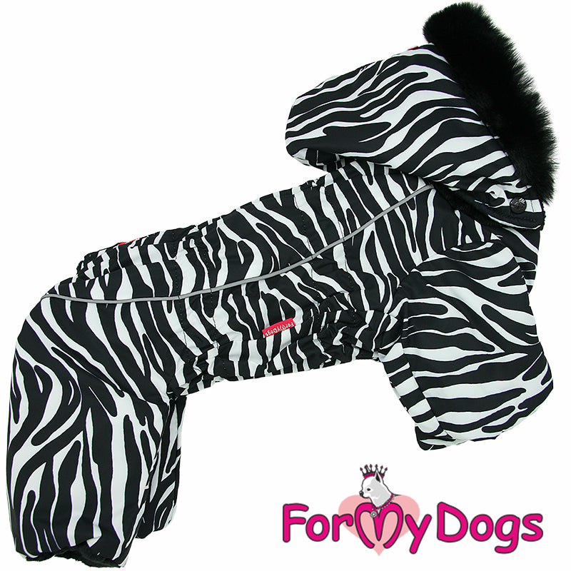 Zesty Zebra Winter Suit For Boys SPECIAL ORDER
