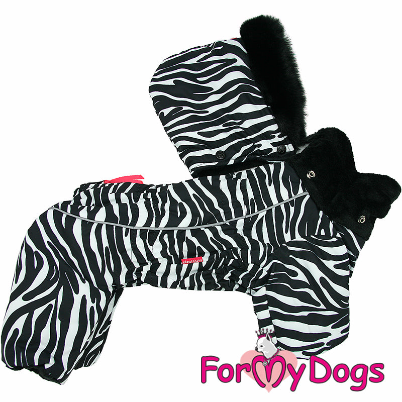 Zesty Zebra Winter Suit For Boys SPECIAL ORDER