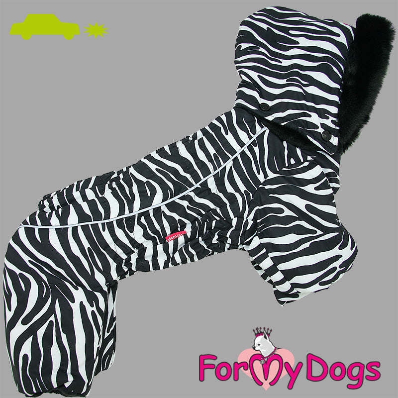 Zesty Zebra Winter Suit For Boys SPECIAL ORDER