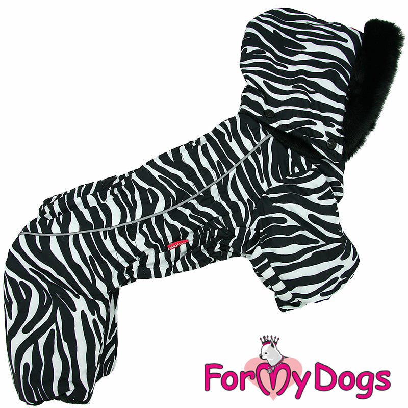 Zesty Zebra Winter Suit For Boys SPECIAL ORDER