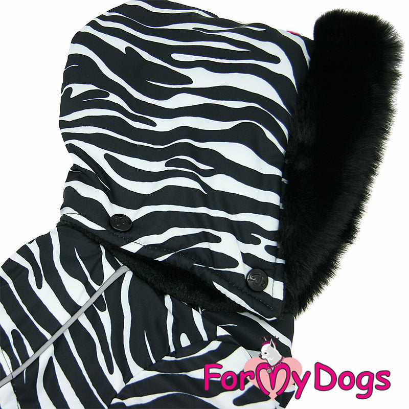 Zesty Zebra Winter Suit For Boys SPECIAL ORDER