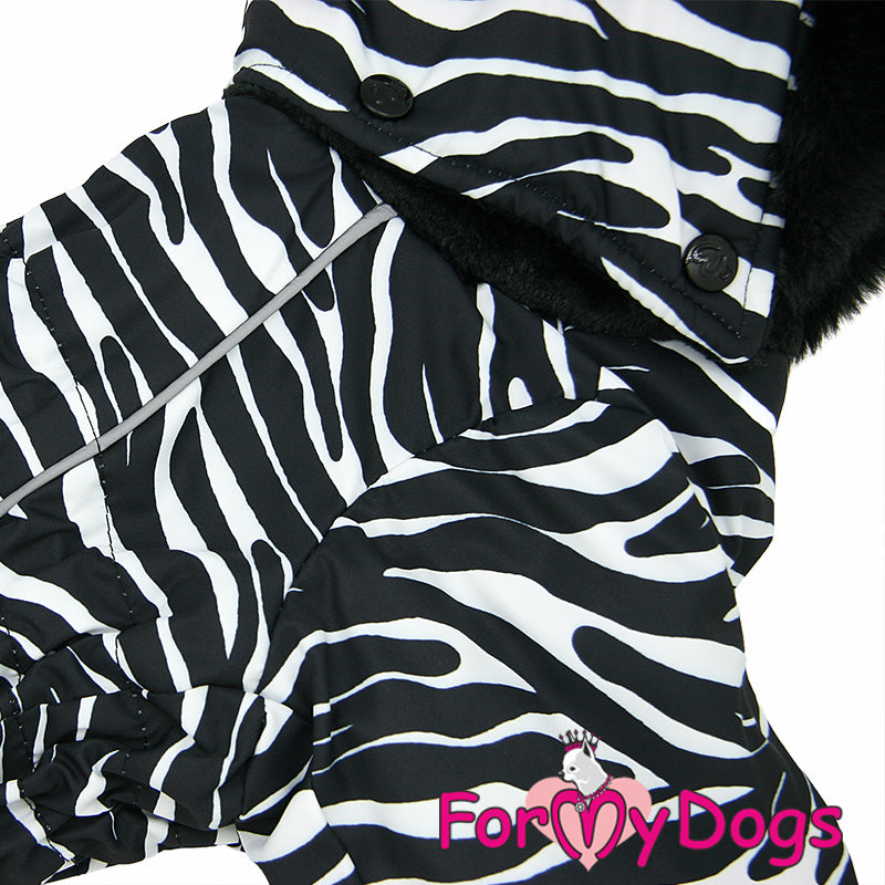 Zesty Zebra Winter Suit For Boys SPECIAL ORDER