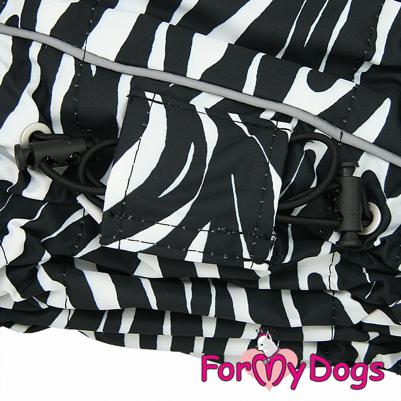 Zesty Zebra Winter Suit For Boys SPECIAL ORDER