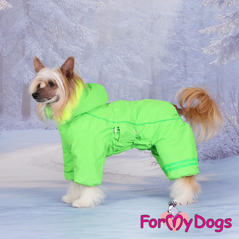 Beacon Bright Winter Suit For Boys SPECIAL ORDER