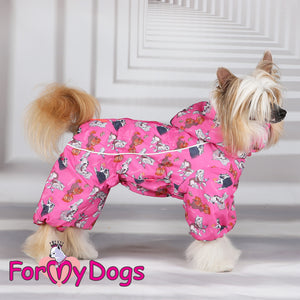 Chinese Crested Crush Winter Suit For Girls