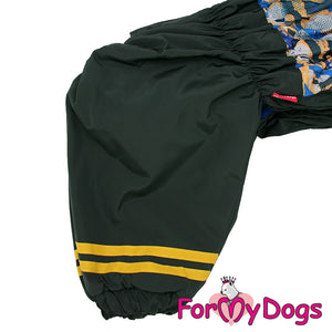 Flash Dance Winter Suit For Boys For Medium, Large Breeds & Pugs SPECIAL ORDER