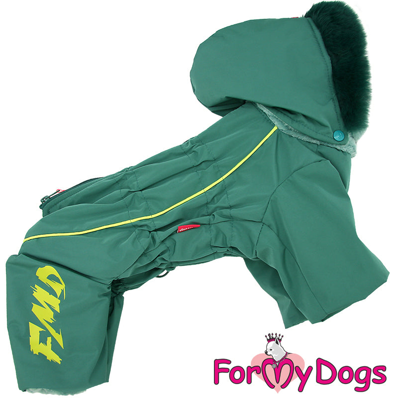 Green Lantern Winter Suit For Boys