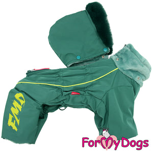 Green Lantern Winter Suit For Boys