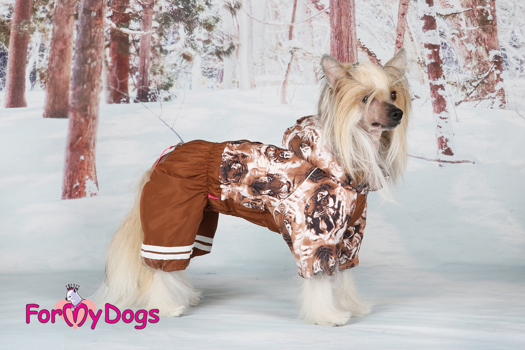 Tiger Tiger! Winter Suit For Girls SPECIAL ORDER