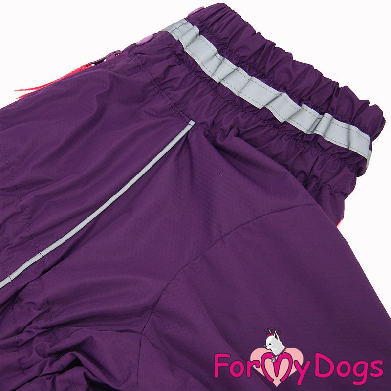 Perfect Purple Rainsuit For Girls For Medium, Large Breeds & Pugs SPECIAL ORDER