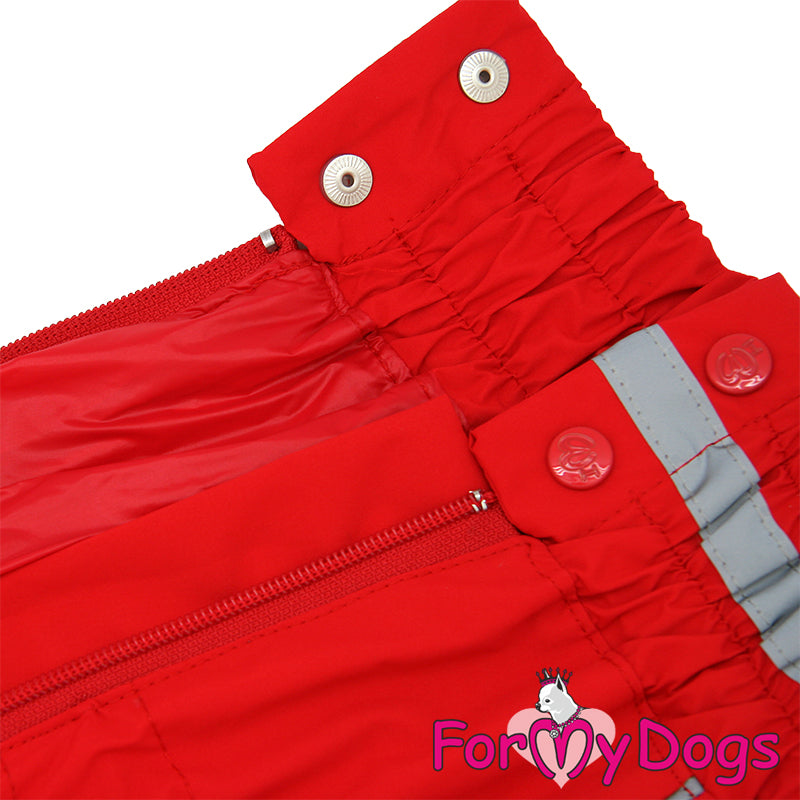 Ready To Race Rainsuit For Girls For Medium, Large Breeds, Pugs & Westies SPECIAL ORDER