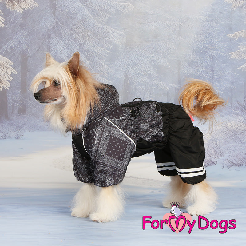 Pretty Paisley Winter Suit For Girls SPECIAL ORDER