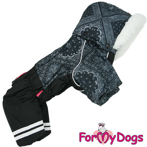 Pretty Paisley Winter Suit For Girls SPECIAL ORDER