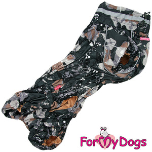 Corgi Paint Splash Winter Suit For Boys SPECIAL ORDER