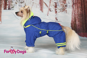Bold Blue Winter Suit For Boys SPECIAL ORDER