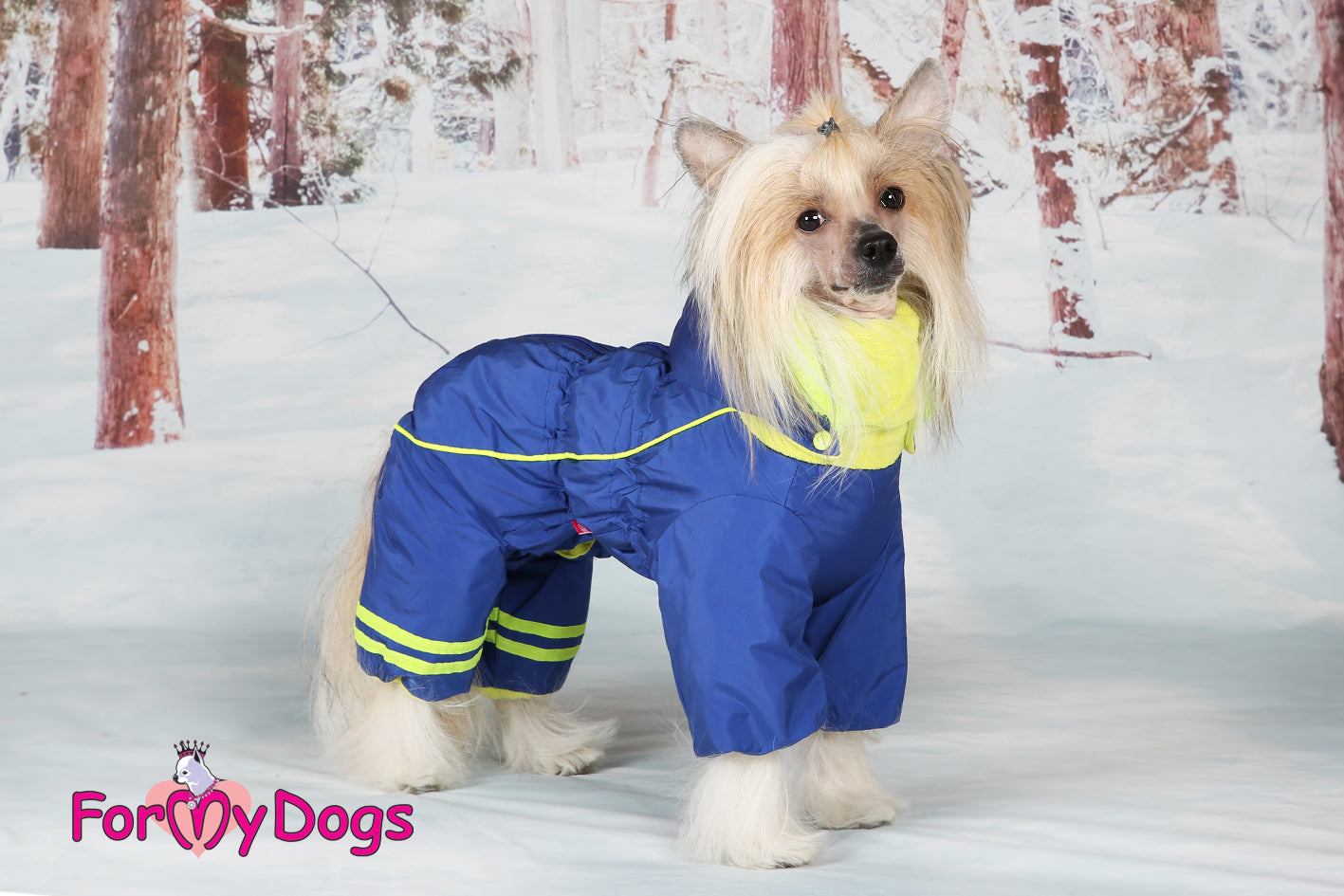 Bold Blue Winter Suit For Boys SPECIAL ORDER